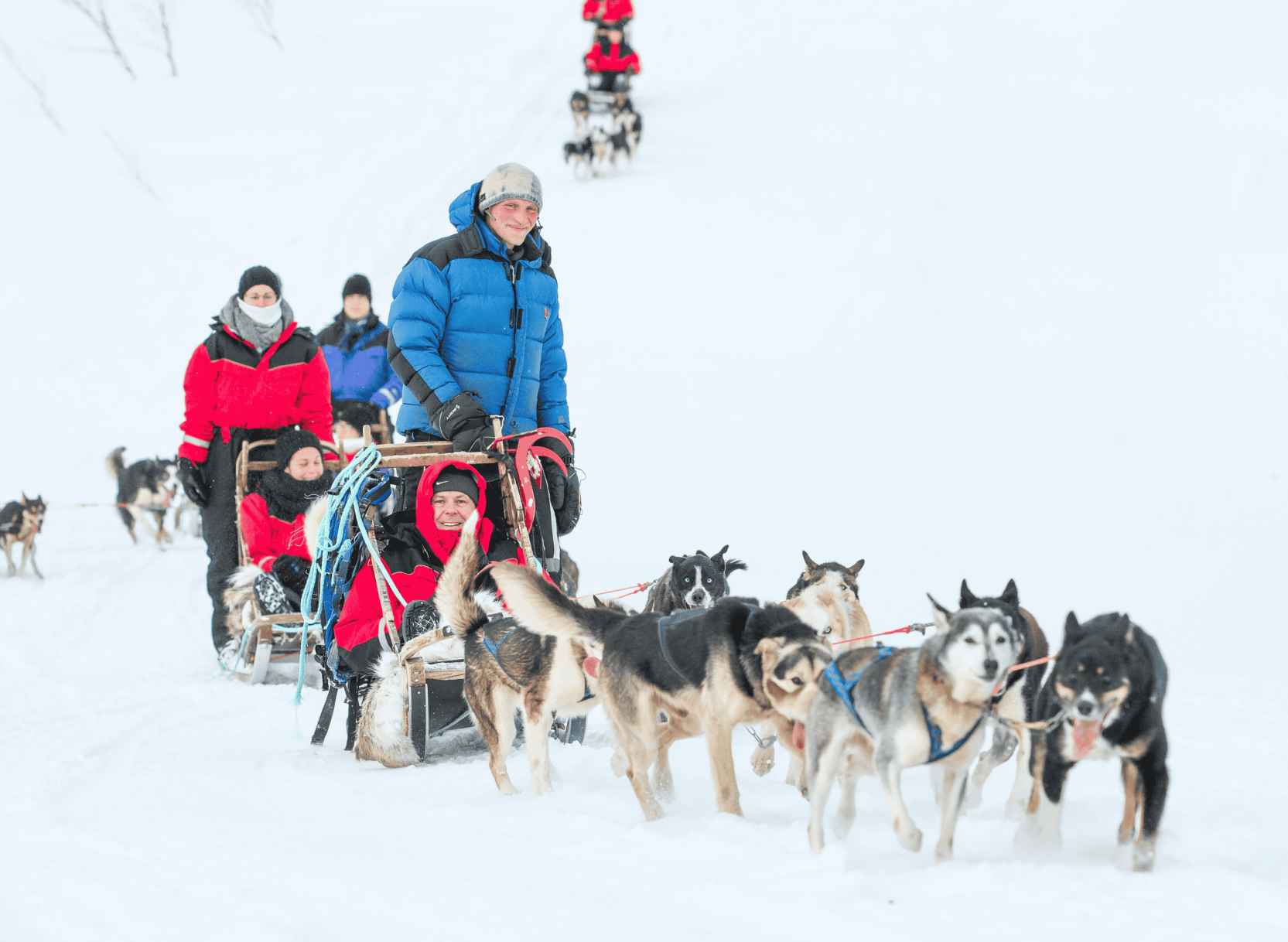 Nordlichter & Samisches Abenteuer Tromsø